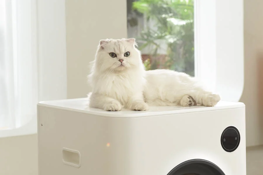 best litter box for two cats